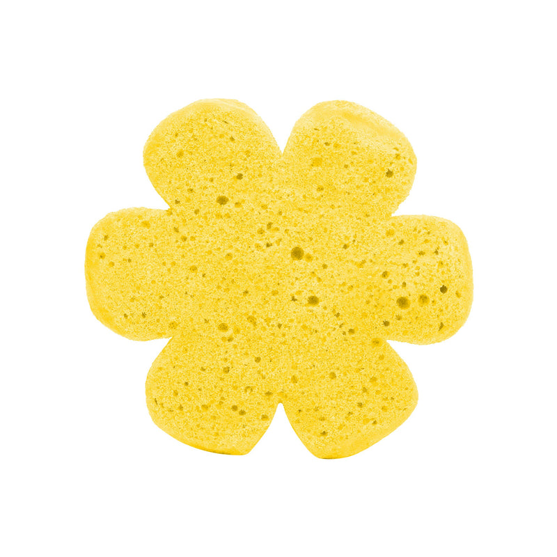Soap Spongie - Fun and Fruity